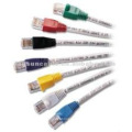 Cat5e UTP RJ45 Patchkabel CCA 24AWG